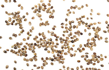 hemp seeds isolated on white background, top view