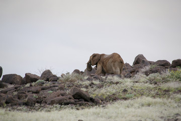 Namibie