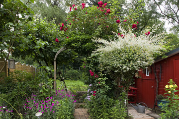 Garten, hintere Ecke, bunt, Pflanzen