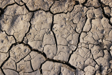 cracked soil. dry land with deep cracks. drought.
