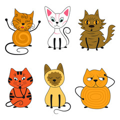 Vector Cats collection.  Cats of different breeds, cats with different moods.