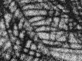 shadow of the leaves on a stone wall