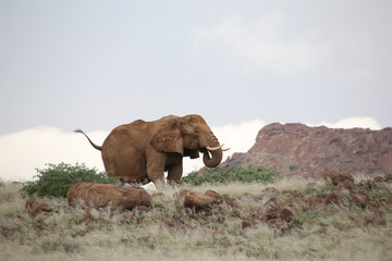 Namibie