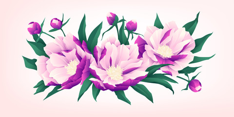 Composition of pink peony flowers