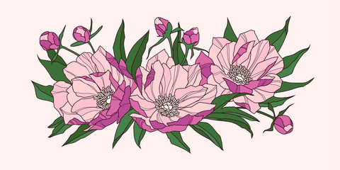Composition of pink peony flowers