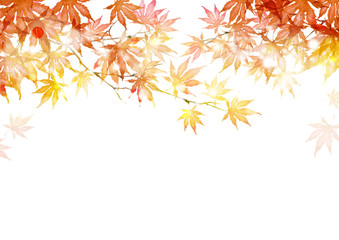 秋 紅葉 背景 フレーム　水彩 イラスト