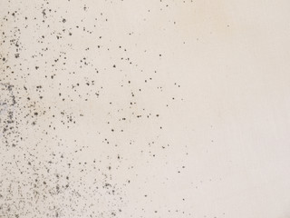 Naklejka premium dirty white fabric cloth texture