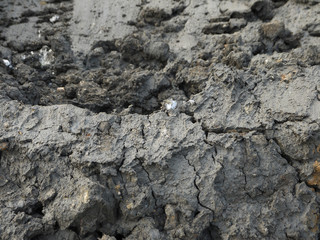 Rough and dry soil texture background