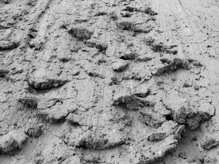 soil mud texture