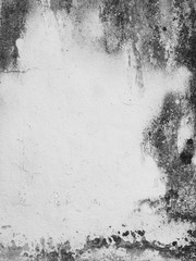 dirty white wall with mold