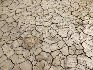 cracks in the ground