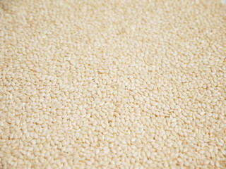 White sesame seeds closeup