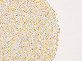 Pile of dried white Sesame Seed