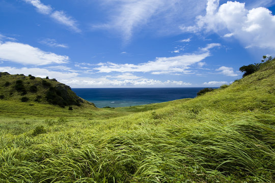 夏の海と草原