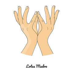 Padma Mudra / Gesture of Lotus. Vector.