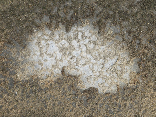 soil on floor texture