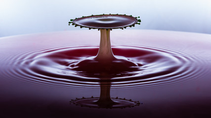 Milk into Coloured Water