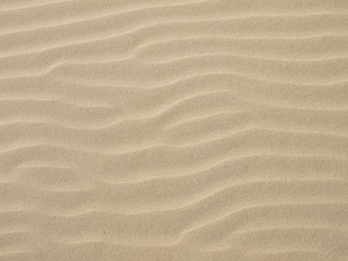 Fototapeta na wymiar Sand texture.Dented wave of the blow of the wind