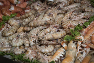 Background of fish, shrimp clams in the markets of Milan in Italy.