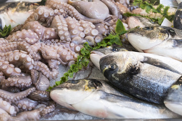 Background of fish, shrimp clams in the markets of Milan in Italy.