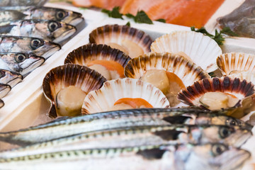 Background of fish, shrimp clams in the markets of Milan in Italy.