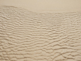 Sand Texture. Brown sand. Background from fine sand. Sand background
