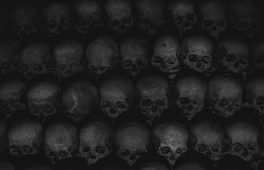 Collection of skulls covered with spider web and dust in the catacombs. Numerous creepy skulls in the dark highlighted by candle light. Abstract concept symbolizing death, terror, and evil. 