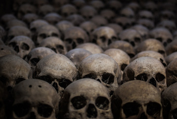 Collection of skulls covered with spider web and dust in the catacombs. Numerous creepy skulls in...