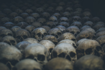 Obraz premium Collection of skulls covered with spider web and dust in the catacombs. Rows of creepy skulls in the dark. Abstract concept symbolizing death, terror, and evil.