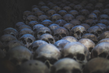 Obraz premium Collection of skulls covered with spider web and dust in the catacombs. Rows of creepy skulls in the dark. Abstract concept symbolizing death, terror, and evil.