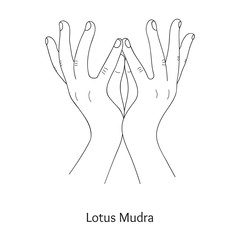 Padma Mudra / Gesture of Lotus. Vector. - obrazy, fototapety, plakaty