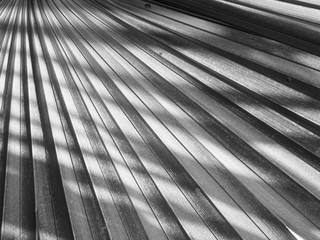 gray palm leaf with shadow