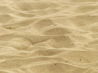 Sand beach texture