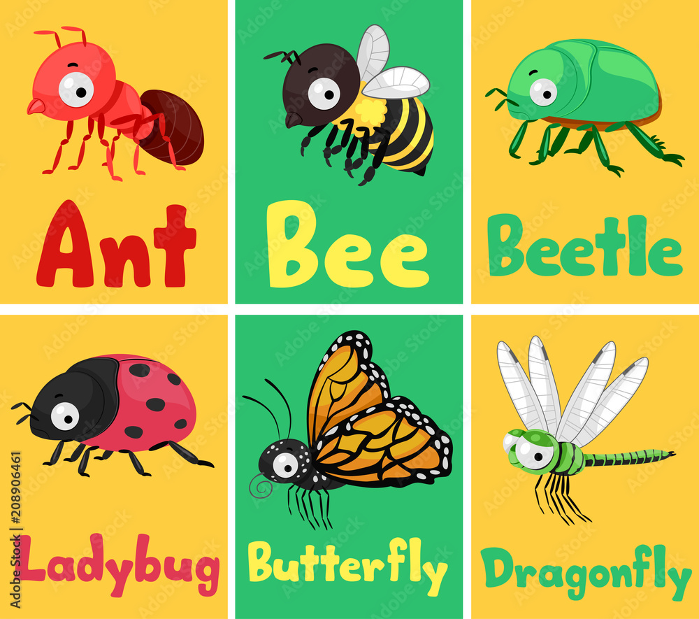 Canvas Prints insects flash cards illustration