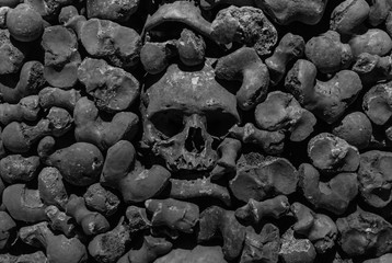 Collection of skulls and bones covered with spider web and dust in the catacombs. Numerous creepy skulls in the dark. Abstract concept symbolizing death, terror, and evil.