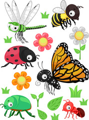 Insects Flowers Elements Illustration