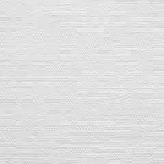 white canvas texture