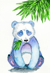 Watercolor illustration of cute panda bear. White backgrownd.