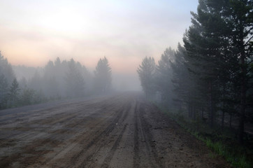 Fototapeta na wymiar Forest road in the morning fog-haze