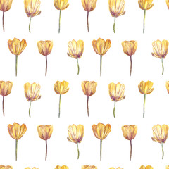 Seamless pattern. Botanical illustration. Watercolor tulips isolated on white background