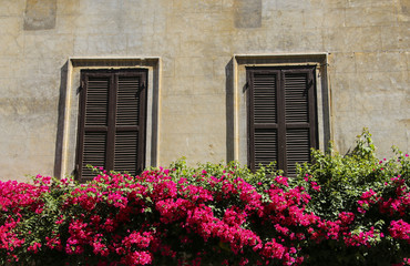 Fototapeta na wymiar Traditional Italian windows with shutters in one of the houses of Rome, Italy