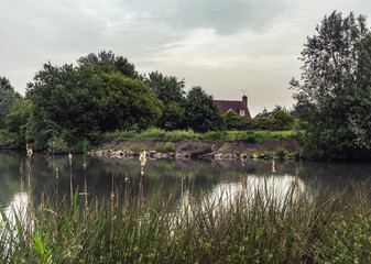 Obraz premium lake in the park