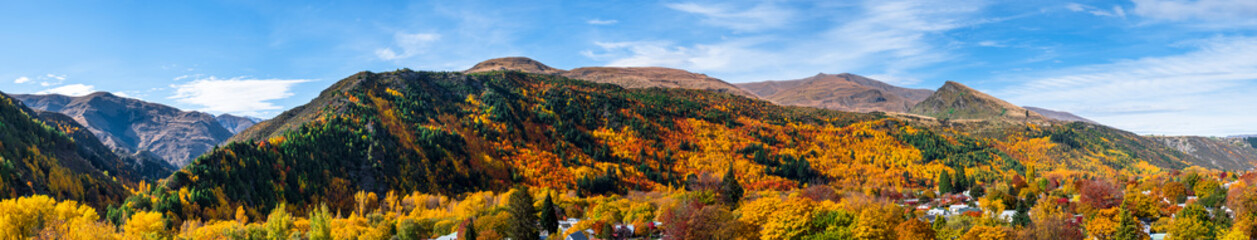 Panorama view of Arrowtown, New Zealand. Beautiful green yellow orange and red autumn trees with the town.