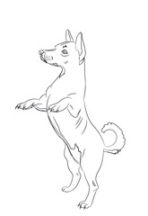 dog asking, lines, vector