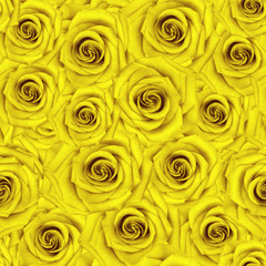 Seamless yellow roses background. Abstract flowers backdrop