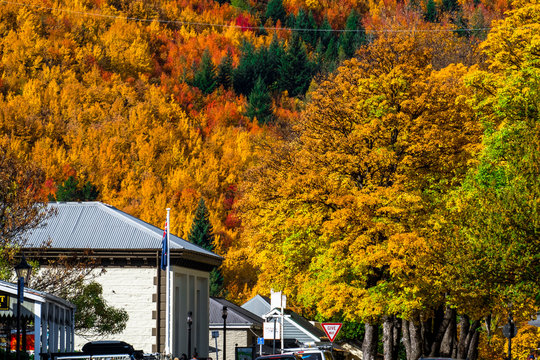 Arrowtown in autumn with colorful trees in the beautiful day..