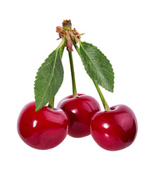 Cherry with leafs isolated on white background.