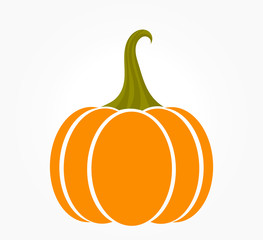 Orange autumn pumpkin icon