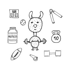 Funny lama the athlete with a bar and sports equipment. © ArTalya