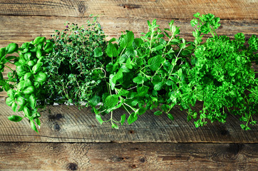 Collection of fresh organic herbs (melissa, mint, thyme, basil, parsley) on wooden background. Banner. Copy space. Abstract spring or summer concept.